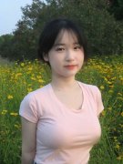 搭客能够出海不雅鲸、看企